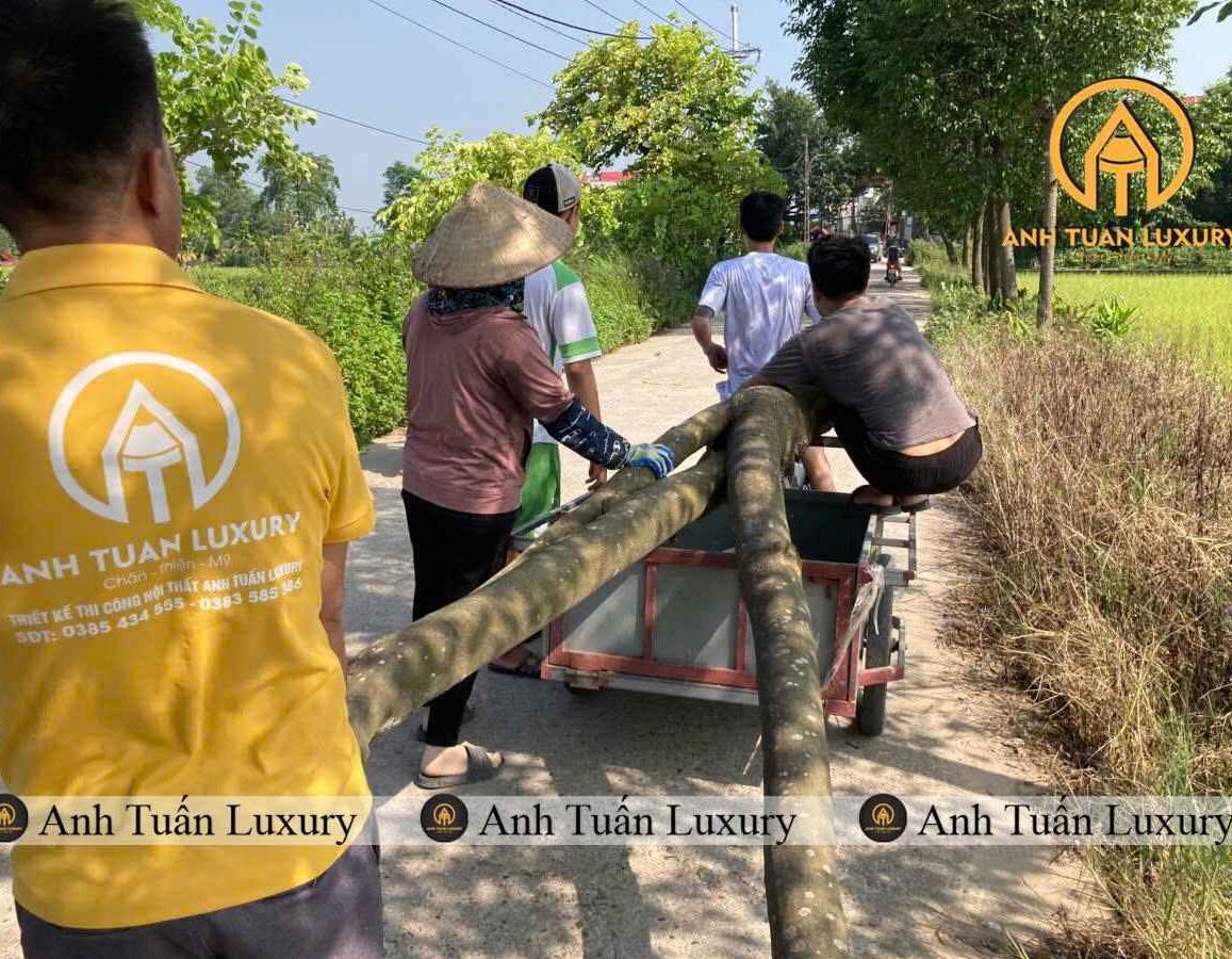 Thi Công Nội Thất Mầm Non Trọn Gói Bao Gồm Những Gì?