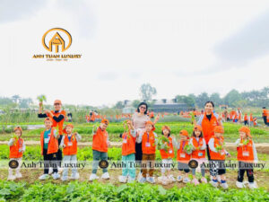 Tổ chức dã ngoại cho trẻ